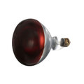 Hobart Infra-Red Lamp (Red) 120V, 250W 914200